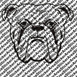 351 Dog